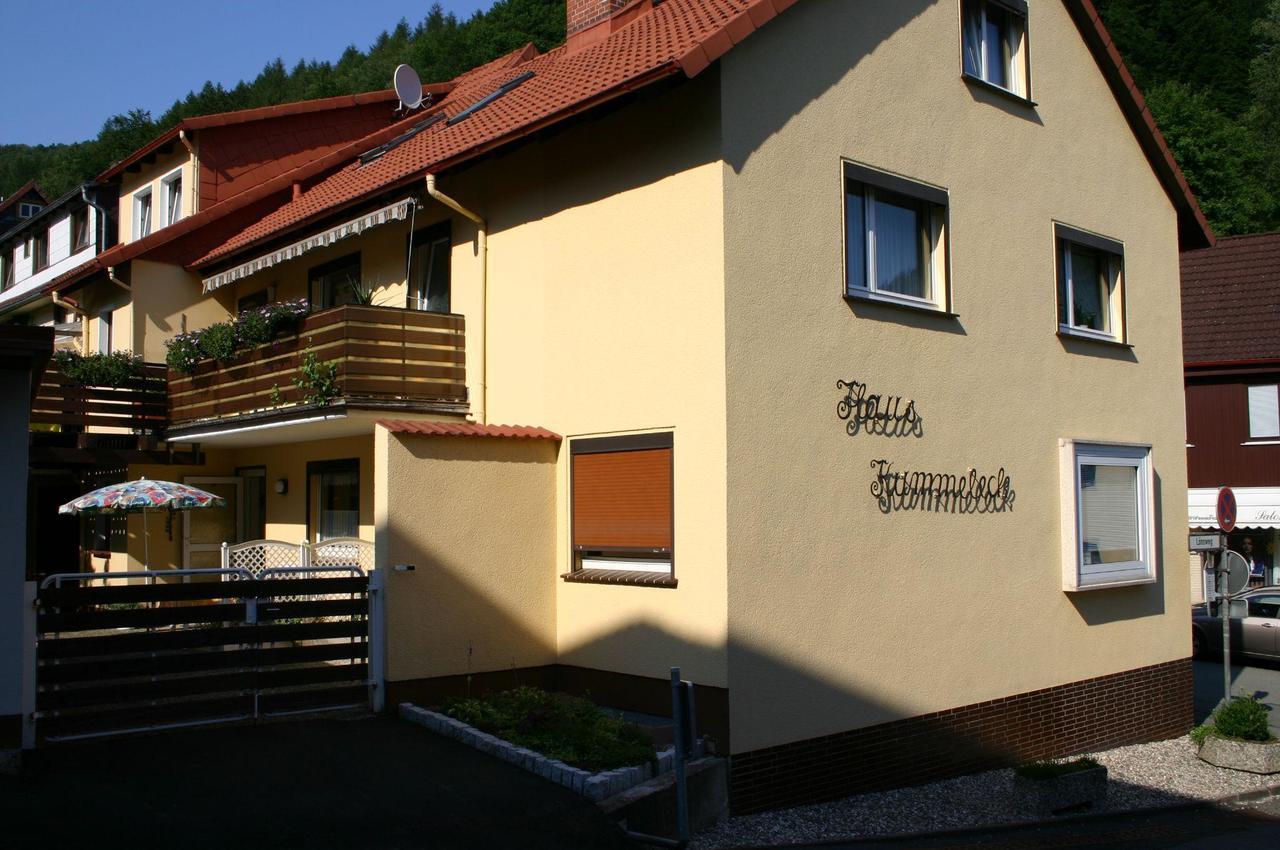 Haus-Kummeleck-Wohnung-3 Bad Lauterberg Bagian luar foto