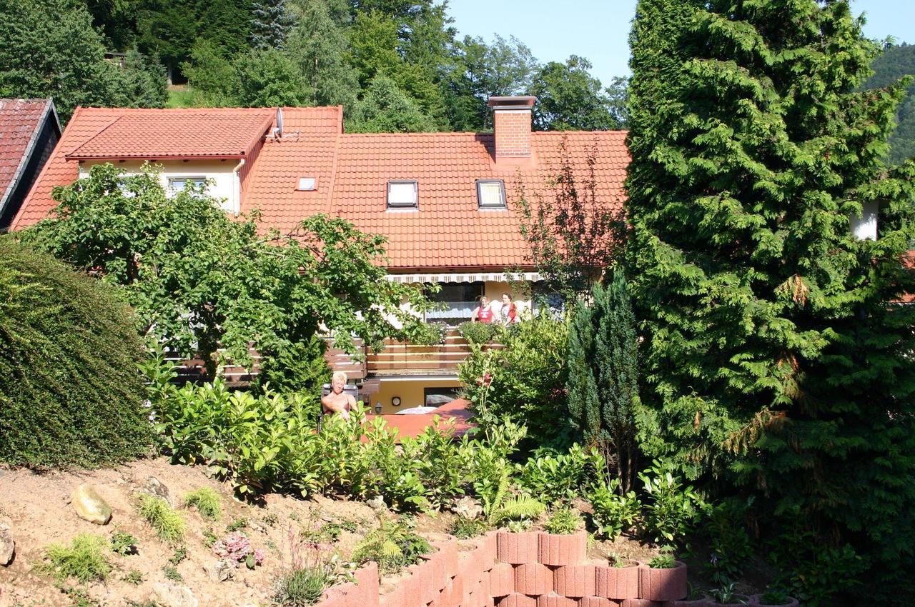 Haus-Kummeleck-Wohnung-3 Bad Lauterberg Bagian luar foto